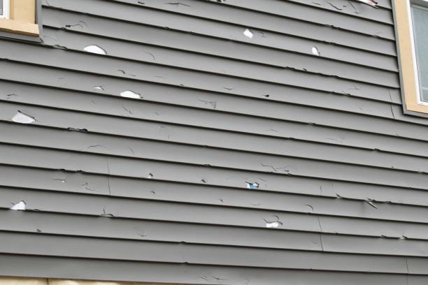 Affordable siding repair and maintenance services in Schoolcraft, MI